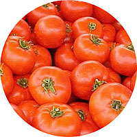Ace 55 Medium Tomato