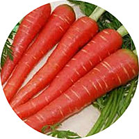 Atomic Red Carrots
