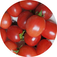 German Lunchbox Heirloom Cherry Tomato