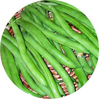Harvester Bush Beans
