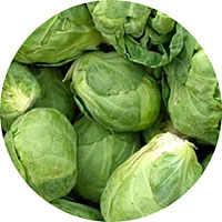 Long Island Improved Brussel Sprouts