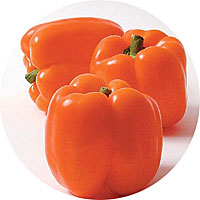 Orange Sun Sweet Bell Pepper