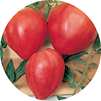 Oxheart Tomatoes